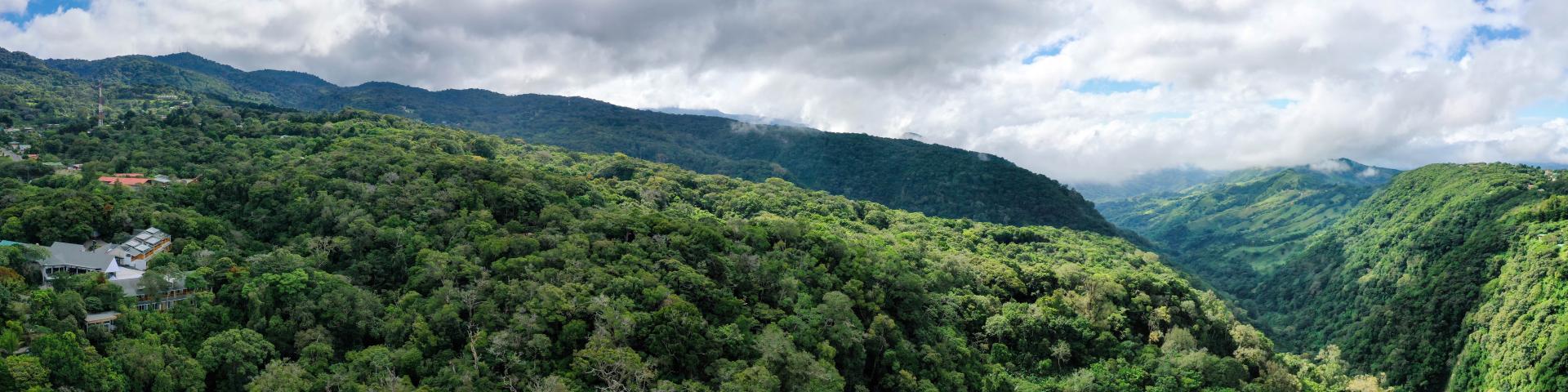 Monteverde Lodge & Gardens – Luksusowy Ekolodge w Lesie Mglistym